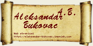 Aleksandar Bukovac vizit kartica